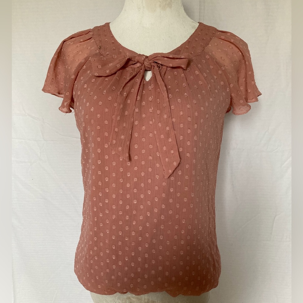 Sara Michelle polkadot mesh rusty pink cute drawstring blouse